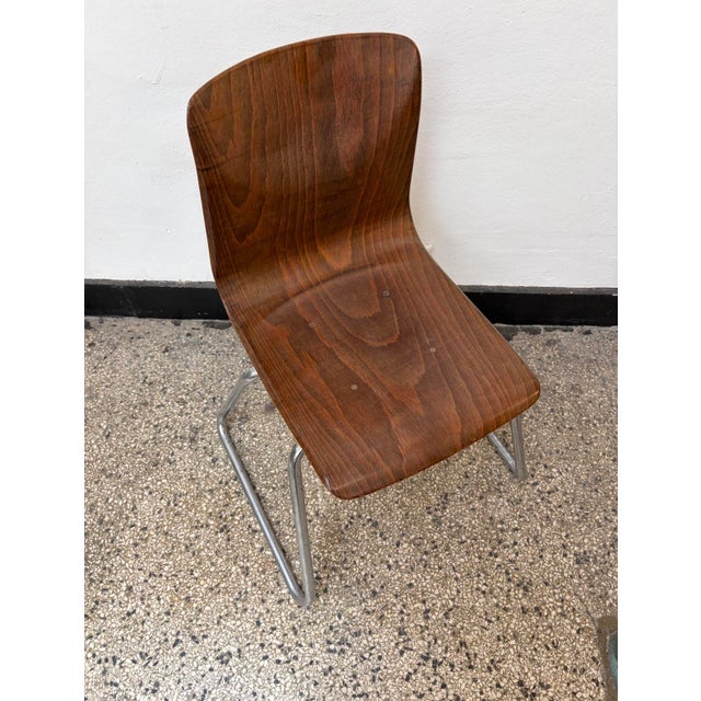 Mid-Century Modern Mid-Century Modern Pagholz Chair by Flötotto, 1960s For Sale - Image 3 of 8
