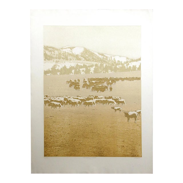 Ted Thomas "Vanishing Herd #1" Signed Numbered Artwork Etching of Buffalos For Sale