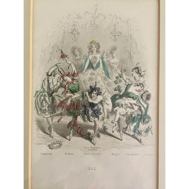 Mid 19th Century “Les Fleurs Animées” Original Hand-Painted Antique French Lithographs 1846, Set of 6, Framed For Sale - Image 12 of 12