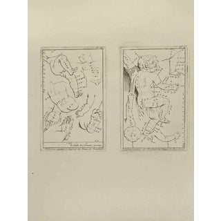 Jean François Poletnich, Anatomy Studies, Etching, 18th Century For Sale