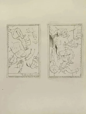 Jean François Poletnich, Anatomy Studies, Etching, 18th Century