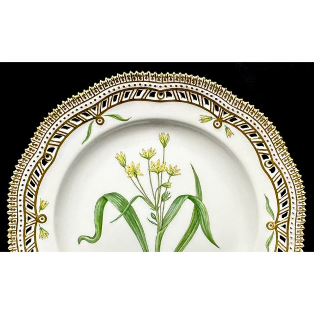 English Royal Copenhagen Flora Danica, Gagea Lutea Var Glaucascens Lge., Gilt Border For Sale - Image 3 of 8