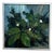 M. Jakobsson, White Blossoms, 1950s, Oil Painting on Canvas, Framed For Sale