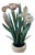 Intricately carved Asian floral sculpture depicting a delicate iris arrangement. Pink and white irises carved from a...