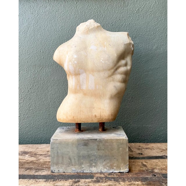 Gray Vintage Stone Torso Sculpture on Cement Base For Sale - Image 8 of 12