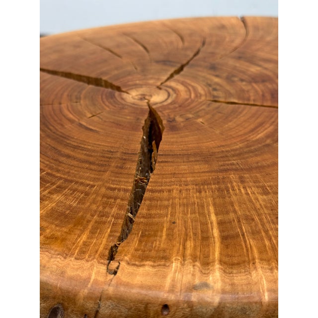 Organic Modern Live Edge Tree Side Table/Stool For Sale - Image 9 of 12