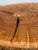Organic Modern Live Edge Tree Side Table/Stool For Sale - Image 9 of 12