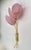 Contemporary Italian 2-Branch Pink Murano Glass Tulip Flower Gold Brass Sconces - a Pair For Sale - Image 9 of 10