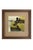 Mid-Century Modern Two Antique Framed Bird Prints From the Birds of North America by Jacob H. Studer, Edited From Original, Ducks For Sale - Image 3 of 3