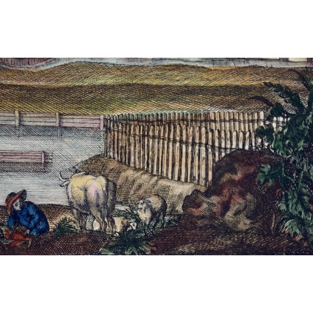 Early 18th Century Lemons "Cedro Ditela Multiforme": An 18th C. Volckamer Hand-Colored Engraving, 1708 For Sale - Image 5 of 7