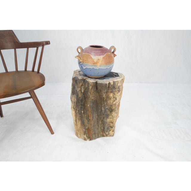 Wood Beige Black Petrified Wood Organic Stomp Shape Stand End Side Table Pedestal For Sale - Image 7 of 10