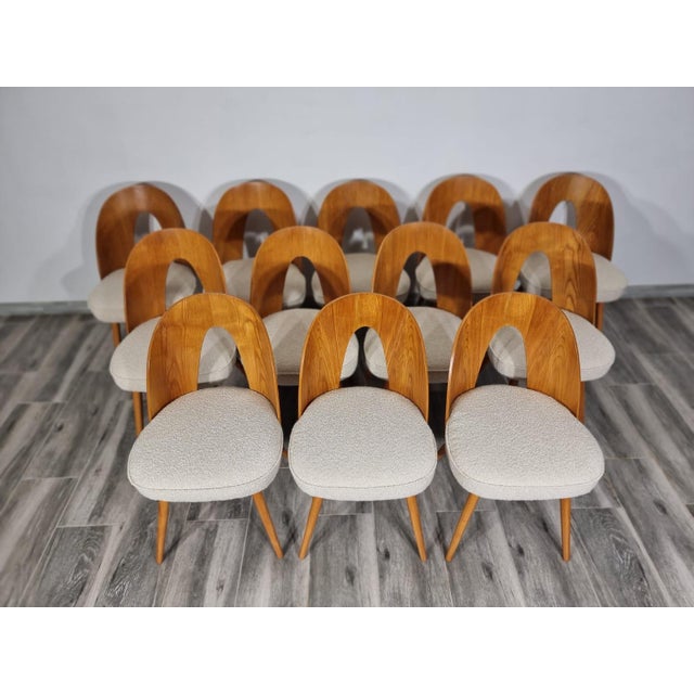 Dining Chairs from Antonin Suman, 1960s, Set of 12 For Sale - Image 9 of 18