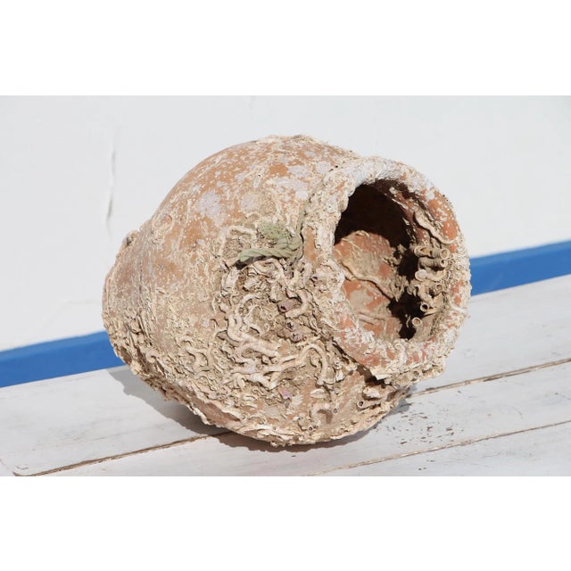 19th Century Antique Terracotta Octopus Trap Undersea Pot For Sale - Image 10 of 13