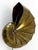 Mid-Century Modern Brass Sconce from Natilius, Germany, 1960s For Sale - Image 10 of 18