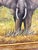 Wood Canvas Featuring a Detailed Wildlife Portrait of an Elephant in Africa - Signed For Sale - Image 7 of 12