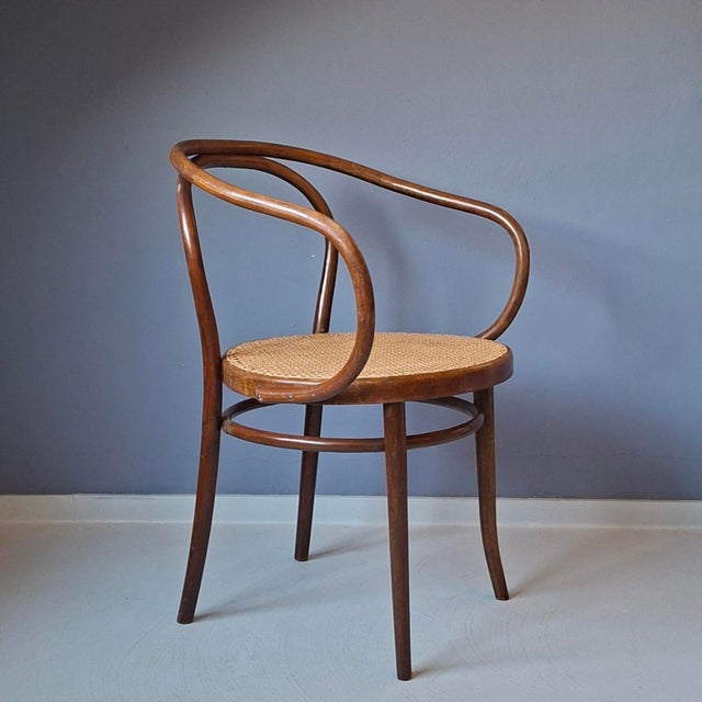 No. 209 Armchair in Brown Bentwood and Rattan from Ligna, 1970s For Sale - Image 9 of 9
