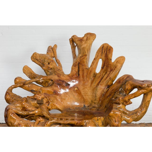 Wood Rustic Vintage Chinese Camphor Wood Tree Root Armchair with Light Varnish For Sale - Image 7 of 12