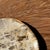 Small Trinket Tray or Dish in White Petrified Wood with Brown Checkered Pattern For Sale - Image 6 of 18