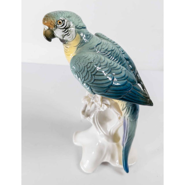 19th Century 19th Century German Porcelain Macaw or Parrot Type Figure by Karl Ens For Sale - Image 5 of 11