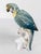 19th Century 19th Century German Porcelain Macaw or Parrot Type Figure by Karl Ens For Sale - Image 5 of 11