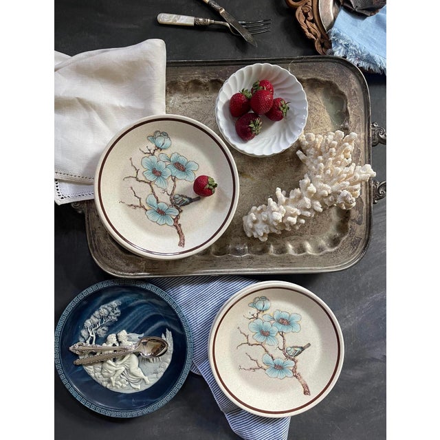 Mid 20th Century Mid 20th Century Softwind Stoneware by Temperware - A Wedgwood Company - 8” Plates - Set of Seven (7) For Sale - Image 5 of 10