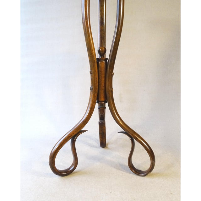 Art Nouveau Bentwood Flower Stand, 1890 For Sale - Image 9 of 14