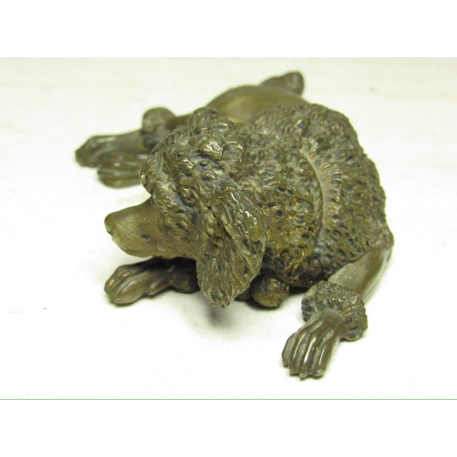 Antique Bronze Poodle Figurine For Sale - Image 4 of 11