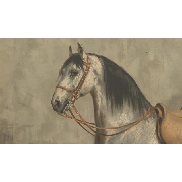 Paper After Otto Eerelman, Lipizzaner Horse Portrait, 1898, Lithograph on Paper For Sale - Image 7 of 11