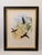 1990s Framed Prints, Set of 2, Refulgent Wood-Nymph, and Black-Banded Wood-Nymph, Hummingbirds Hill House Editions For Sale - Image 4 of 12