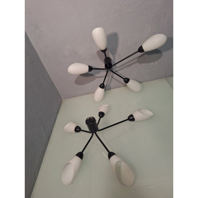 Ceiling Lights in Black Lacquered Brass with 5 White Glass Shades, 1950s, Set of 2 For Sale - Image 15 of 17