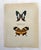 Up for sale is this gorgeous lithograph by F. Prochazka, published in Great Britain in 1965. It is in excellent, gently-...