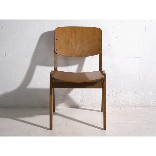 Vintage Dining Chairs from Thonet, 1950s. Set of 4 For Sale - Image 12 of 14