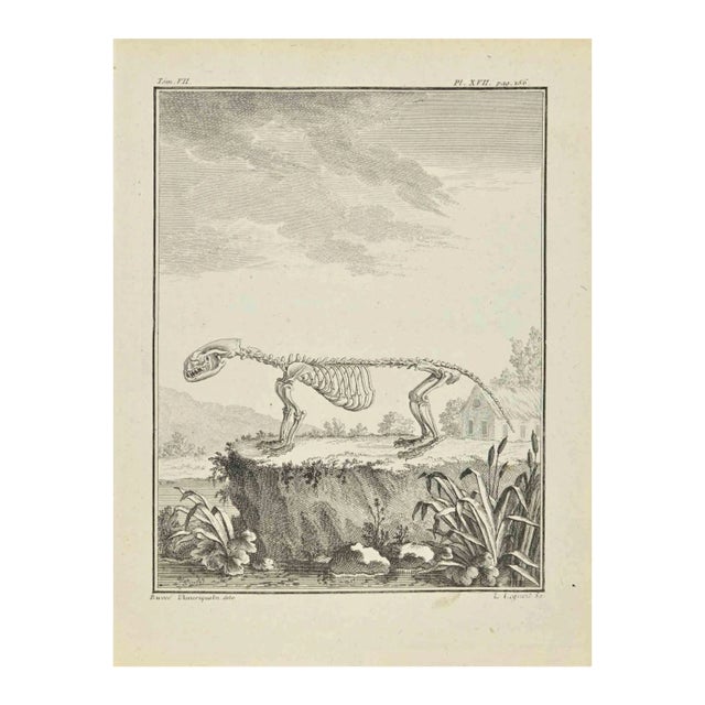 Louis Legrand, The Skeleton, Etching, 1771 For Sale