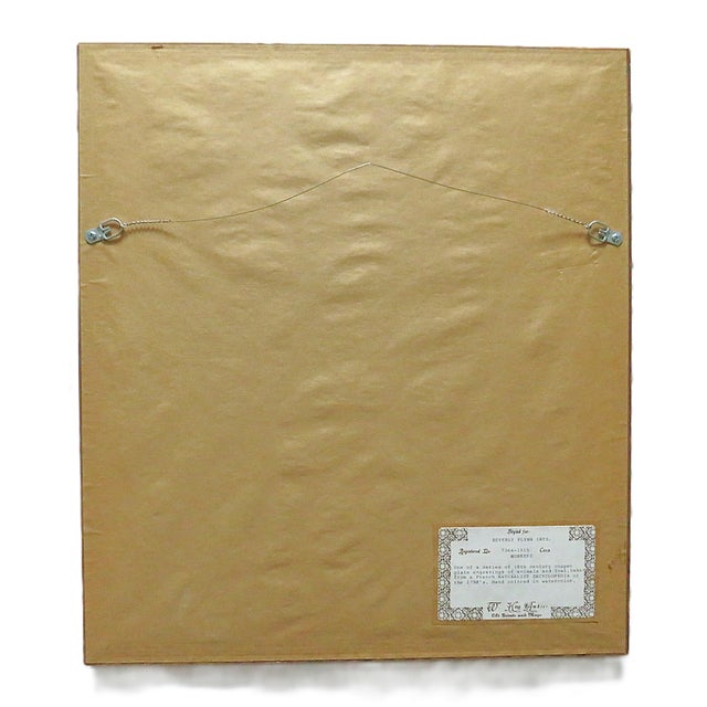 18th Century 1 of 3 18th Century French Hand Colored George-Louis Leclerc Comte De Buffon Monkeys Copper Engravings Framed Antique - Moustac For Sale - Image 5 of 6