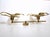Willy Daro Vintage Brass Flower Wall Lamp by Willy Daro for Massive, Belgium, 1970s For Sale - Image 4 of 18