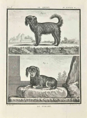 Louis Simon Lempereur, Le Pyrame, Etching, 1771