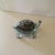 Early 21st Century Glass Turtle Sculpture by Florea Silviu For Sale - Image 5 of 5