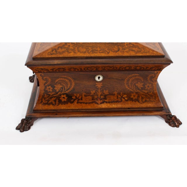 19th Century George IV Gonçalo Alves & Amboyna Marquetry Tea Caddy, 1825 For Sale - Image 4 of 18