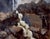 This oil on panel artwork captures a dynamic cascade of water flowing over rugged, textured rocks, evoking a sense of...