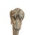 Metal Vintage Figural Dog Head Magnifying Glass For Sale - Image 7 of 12