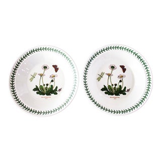 Pair Portmeirion Botanic Garden Rimmed Soup Bowls - Cyclamen Repandum Ivy For Sale