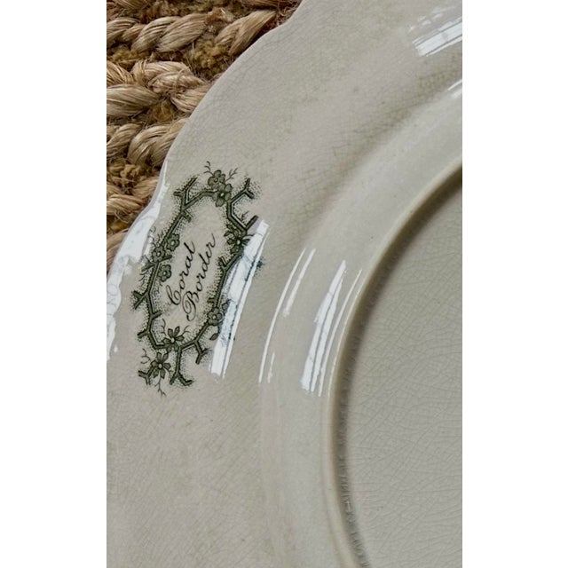 Antique Wedgewood 'Coral Border' Green Transferware 10" Dinner Plates - Set of 12 For Sale - Image 10 of 14