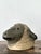 Rustic Vintage Painted Ram Bust For Sale - Image 3 of 18