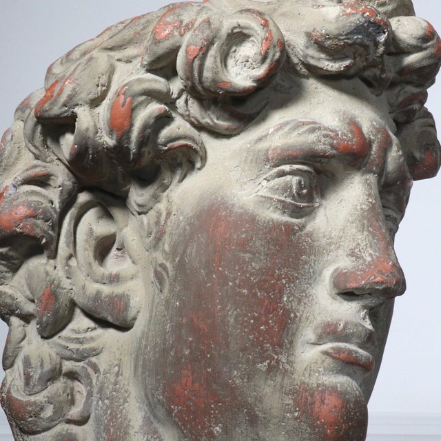 Mid Century Plaster Life-Size Bust of David Sculpture For Sale - Image 4 of 12