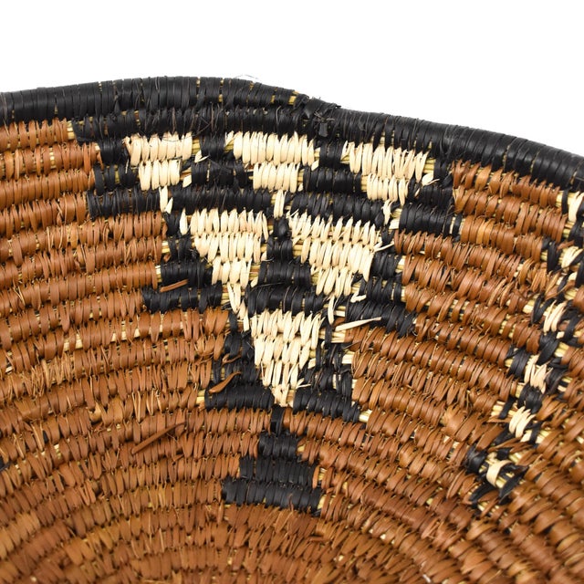Brown 2000 - 2009 South African Contemporary Basket For Sale - Image 8 of 9