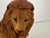 Brown Vintage Mid-Late 20th Century Ceramic Lion & Cub Figurine For Sale - Image 8 of 8
