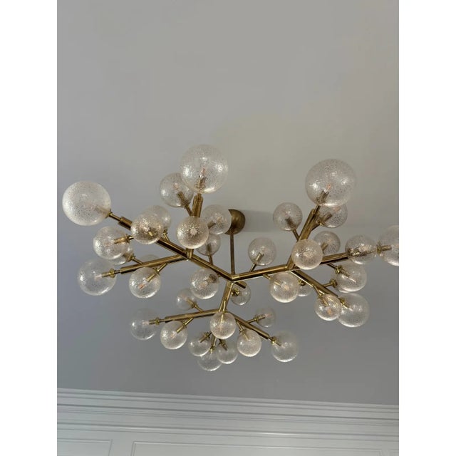 2010s Alberto Donà Mimosa Chandelier For Sale - Image 5 of 16