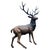 Bronze Twelve-Point Stag Garden Sculpture For Sale - Image 16 of 18