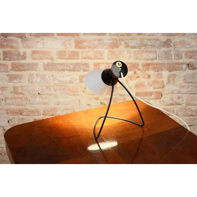 Mid-Century Czech Table Lamps attributed to J. Hůrka for Napako, 1950s, Set of 2 For Sale - Image 14 of 15
