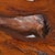 Nakashima Style Live Edge Redwood Burl Root Stump Slab Coffee Table For Sale - Image 11 of 18